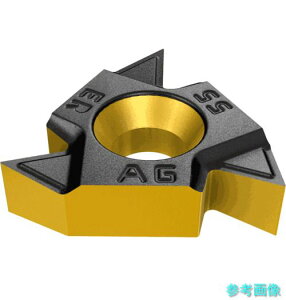 (�C�X�J��) 16ERM G 55(IC808) 55°�˂��؂�`�b�v ER/L-55° IC808 �y5�z