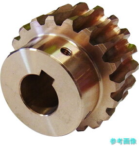 KHK BG1.5-30R1J10 �E�H�[���z�C�[��BG1.5-30R1J10