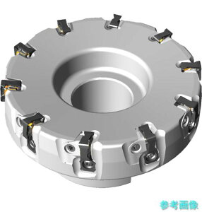 �O�H WSF406WR10008DN �~�[�����O�H�� ���S���\���؍�p�J�b�^ WSF�V���[�Y �y1�z