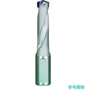 �O�H TAWMN2900S32 TAW WSTAR��ʗp �w�b�h�������z���_ (�C���T�[�g�h����)