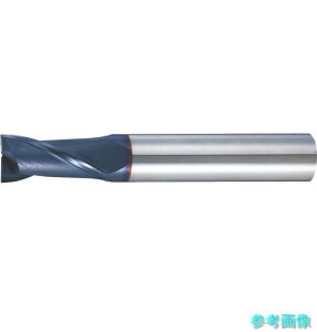 (MOLDINO) 2ESMSC13 ESM�Z���`����-�R-�g�G���h�~��(�V���[�g�n)2FT 13 �y1�{�z