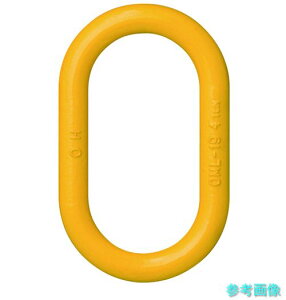 (OH) OML-19 �݋� �}�X�^�[�����N �g�p�׏d4t