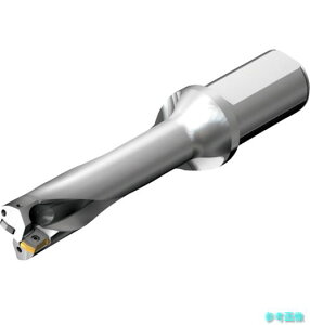 SANDVIK DS20-D1800L25-04 �R���h����DS20�n��������h����(465) �y1�{�z