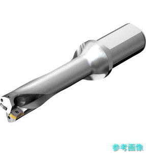 SANDVIK DS20-D2400L25-04 RhDS20nh(465) y1{z