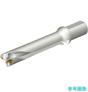 SANDVIK DS20-D3700L40-05 RhDS20nh(465) y1{z