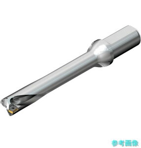 SANDVIK DS20-D3400L40-06 �R���h����DS20�n��������h����(465) �y1�{�z
