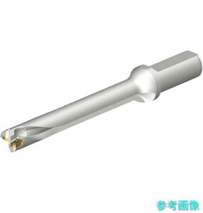 SANDVIK DS20-D2000L25-07 RhDS20nh(465) y1{z