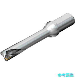 SANDVIK DS20-D3800L40-05 RhDS20nh(465) y1{z