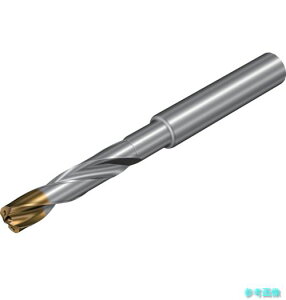 SANDVIK 860.1-0850-069A1-GM(X1BM) �R���h����860�]GM ���d�\���b�h�h����(720) X1BM �y1�{�z