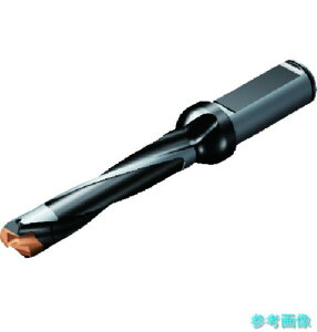SANDVIK 870-1000-6L16-5 �R���h����870 �w�b�h�������h����(446) �n�a10.00mm �a��54.07mm �S��117mm �V�����N�a16mm