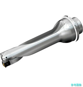 (SANDVIK) DS20-D2400DM25-04 �R���h����DS20�n��������h����(465) �y1�{�z