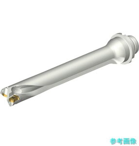 (SANDVIK) DS20-D2380DM25-07 �R���h����DS20�n��������h����(465) �y1�{�z