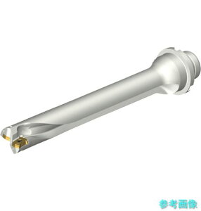 (SANDVIK) DS20-D2223DM25-07 �R���h����DS20�n��������h����(465) �y1�{�z