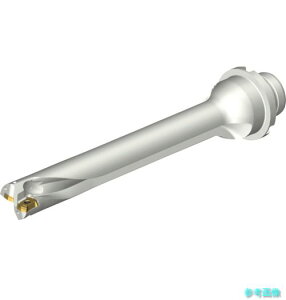(SANDVIK) DS20-D2000DM25-07 �R���h����DS20�n��������h����(465) �y1�{�z