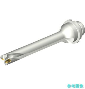 (SANDVIK) DS20-D1745DM25-07 �R���h����DS20�n��������h����(465) �y1�{�z