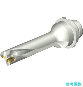 (SANDVIK) DS20-D1900DM25-04 �R���h����DS20�n��������h����(465) �y1�{�z
