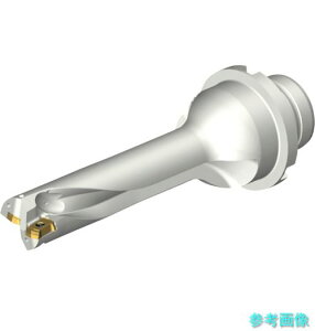 (SANDVIK) DS20-D1745DM25-04 �R���h����DS20�n��������h����(465) �y1�{�z