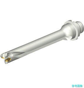 (SANDVIK) DS20-D1700DM20-07 �R���h����DS20�n��������h����(465) �y1�{�z