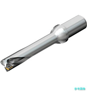 (SANDVIK) DS20-D2062LX25-05 �R���h����DS20�n��������h����(465) �y1�{�z