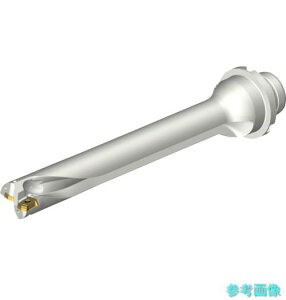 (SANDVIK) DS20-D2062DM25-07 �R���h����DS20�n��������h����(465) �y1�{�z
