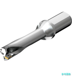 (SANDVIK) DS20-D2858LX31-04 �R���h����DS20�n��������h����(465) �y1�{�z