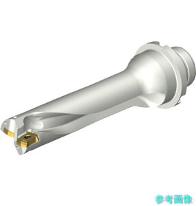 (SANDVIK) DS20-D2223DM25-04 �R���h����DS20�n��������h����(465) �y1�{�z