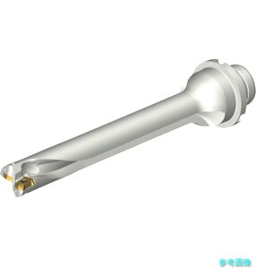 (SANDVIK) DS20-D1905DM25-07 �R���h����DS20�n��������h����(465) �y1�{�z
