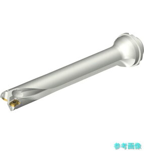 (SANDVIK) DS20-D3650DM40-07 �R���h����DS20�n��������h����(465)