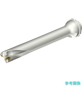 (SANDVIK) DS20-D3810DM40-07 �R���h����DS20�n��������h����(465)