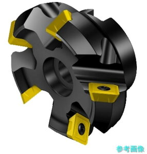 (SANDVIK) RA245-203R63-12M �R���~��245 ���ʃt���C�X�J�b�^�[(450) �y1��z