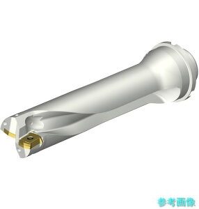 (SANDVIK) DS20-D4300DM40-04 �R���h����DS20�n��������h����(465)
