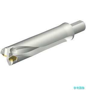 (SANDVIK) DS20-D6033LX38-04 �R���h����DS20�n��������h����(465) �y1�{�z