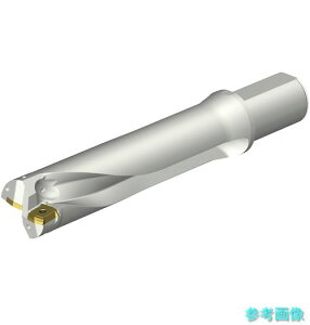 (SANDVIK) DS20-D5600L50-04 �R���h����DS20�n��������h����(465)