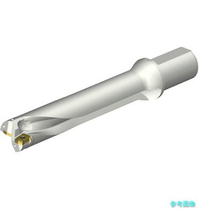 (SANDVIK) DS20-D4700L50-05 �R���h����DS20�n��������h����(465) �y1�{�z
