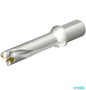 (SANDVIK) DS20-D4200L50-04 �R���h����DS20�n��������h����(465) �y1�{�z