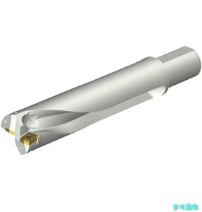 (SANDVIK) DS20-D6300L50-04 �R���h����DS20�n��������h����(465) �y1�{�z