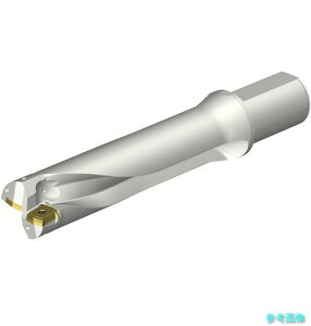 (SANDVIK) DS20-D5300L50-04 �R���h����DS20�n��������h����(465) �y1�{�z