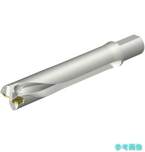 (SANDVIK) DS20-D6000L50-05 �R���h����DS20�n��������h����(465)