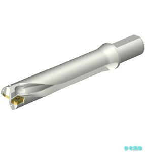 (SANDVIK) DS20-D4285LX38-05 �R���h����DS20�n��������h����(465) �y1�{�z