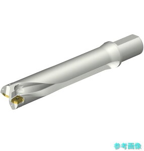 (SANDVIK) DS20-D5600L50-05 �R���h����DS20�n��������h����(465)