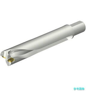 (SANDVIK) DS20-D6400L50-05 �R���h����DS20�n��������h����(465) �y1�{�z