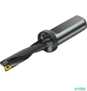 (SANDVIK) 880-D5500L50-04 �n��������h���� �X�[�p�[U�h����(465) �y1�{�z