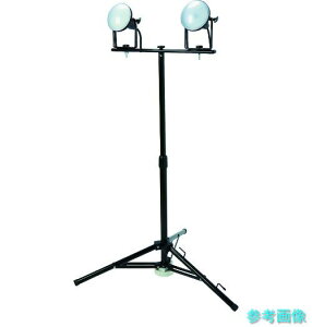 TRUSCO RTLE-205-SK2 LED������ DELKURO �O�r�^�C�v 2�� 20W 5m