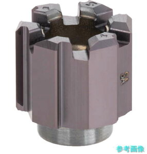 �^���K���C HRM-19.000-AS-T7(AH725) ���[���E�}�C�X�^�[ �~�܂茊�p���a�t�����[�}�w�b�h HRM-AS AH725 �y1�z