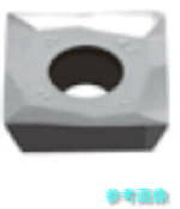 ^KC SWGT1304PDFR-AJ(DS1100) ]HpCT[g PVDR[eBO DS1100 y10z