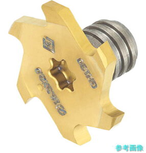 タンガロイ VTB135W4.00R04-06S05(GH730) タング・マイスター用ヘッド 6枚刃 Tスロット加工用 VTB GH730 【2個】