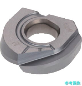 �^���K���C ZFBM100R00-MJ(AH725) �{�[���E�t�B�j�b�V���E�m�[�Y �C���T�[�g ZFB-MJ AH725 �y5�z