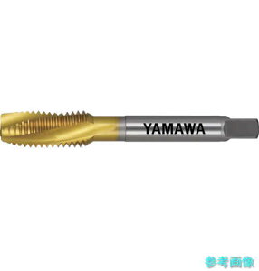 } AU+SL-P3-M16X1.5 `^R[eBOʂ茊pXpC^bv AU+SL P3 M16X1.5 y1{z