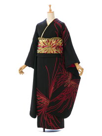 【レンタル】振袖　レンタル【2月〜12月】結婚式 成人式 結納 卒業式 レンタル着物 振袖 貸衣装 フルセット 小物一式つき 振り袖 送料無料 4S540