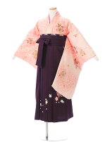 楽天市場】ショート丈（着物セット｜和服）：キッズファッション 